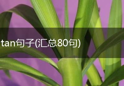 tan句子(汇总80句)
