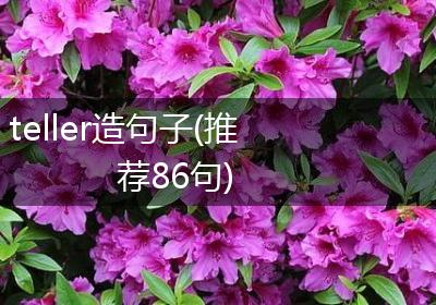 teller造句子(推荐86句)