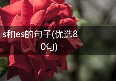 s和es的句子(优选80句)