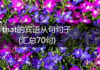 that的宾语从句句子(汇总70句)