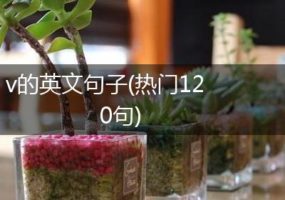 v的英文句子(热门120句)
