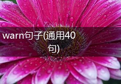 warn句子(通用40句)