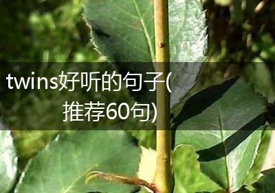 twins好听的句子(推荐60句)