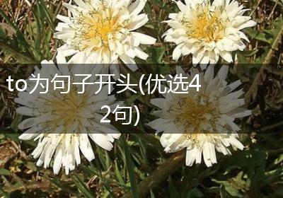 to为句子开头(优选42句)