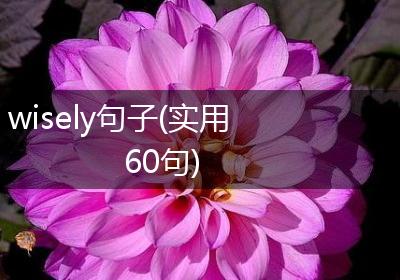 wisely句子(实用60句)