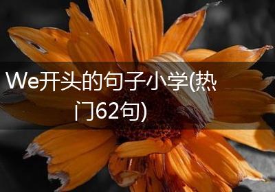 We开头的句子小学(热门62句)