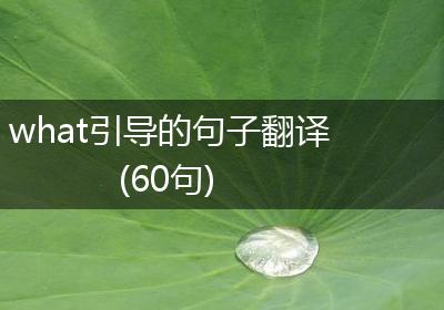 what引导的句子翻译(60句)