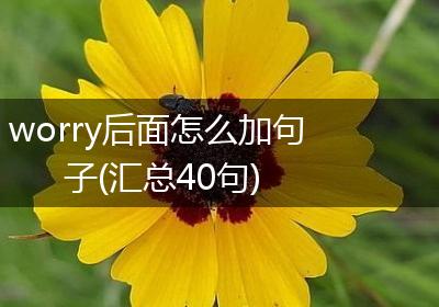 worry后面怎么加句子(汇总40句)