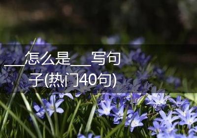 ___怎么是___写句子(热门40句)