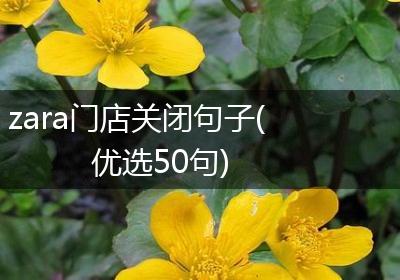 zara门店关闭句子(优选50句)