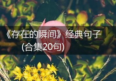 《存在的瞬间》经典句子(合集20句)