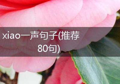 xiao一声句子(推荐80句)