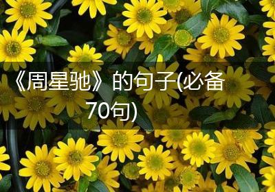 《周星驰》的句子(必备70句)