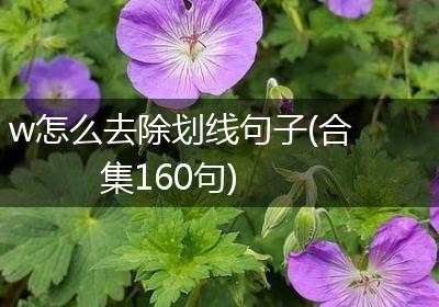 w怎么去除划线句子(合集160句)