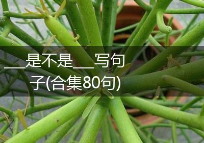 ___是不是___写句子(合集80句)