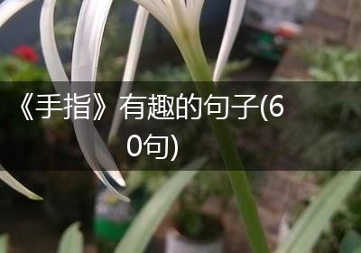 《手指》有趣的句子(60句)