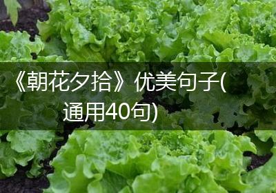 《朝花夕拾》优美句子(通用40句)