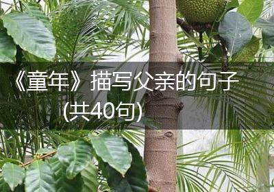 《童年》描写父亲的句子(共40句)