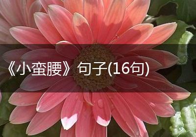 《小蛮腰》句子(16句)