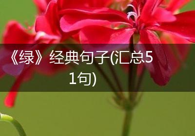 《绿》经典句子(汇总51句)