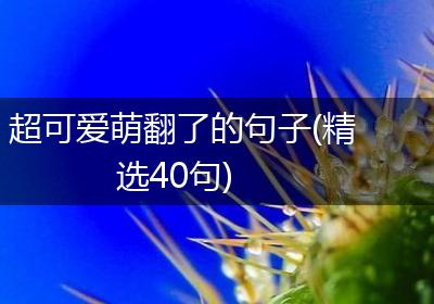 超可爱萌翻了的句子(精选40句)