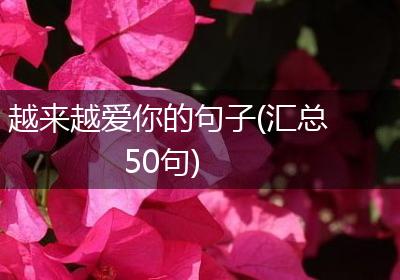 越来越爱你的句子(汇总50句)