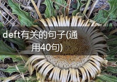 deft有关的句子(通用40句)