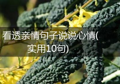 看透亲情句子说说心情(实用10句)