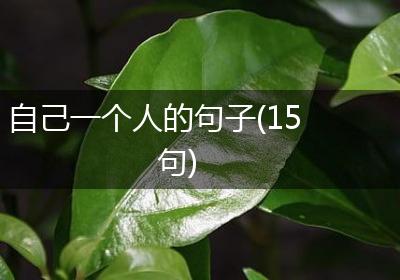 自己一个人的句子(15句)