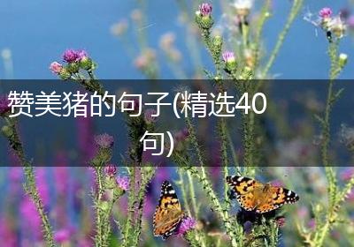 赞美猪的句子(精选40句)