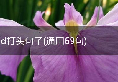 d打头句子(通用69句)