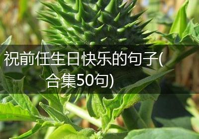 祝前任生日快乐的句子(合集50句)
