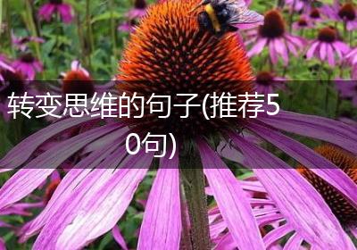 转变思维的句子(推荐50句)