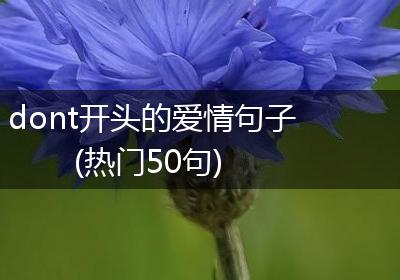 dont开头的爱情句子(热门50句)