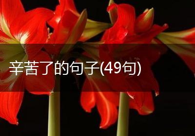 辛苦了的句子(49句)