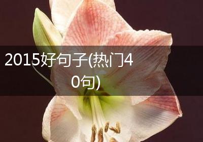 2015好句子(热门40句)