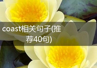 coast相关句子(推荐40句)