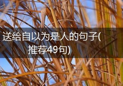 送给自以为是人的句子(推荐49句)