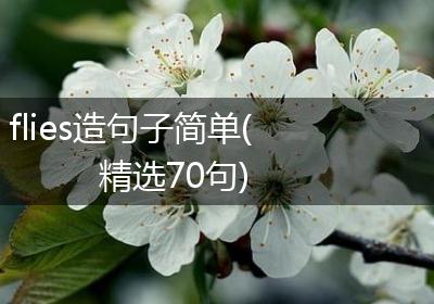 flies造句子简单(精选70句)