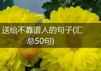送给不靠谱人的句子(汇总50句)