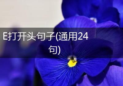 E打开头句子(通用24句)