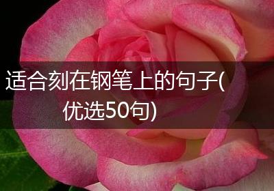 适合刻在钢笔上的句子(优选50句)