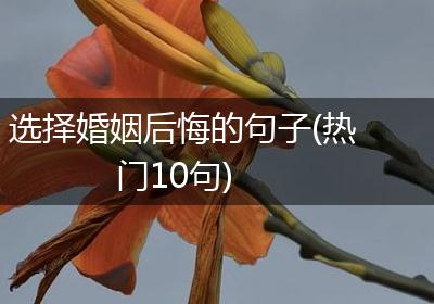 选择婚姻后悔的句子(热门10句)