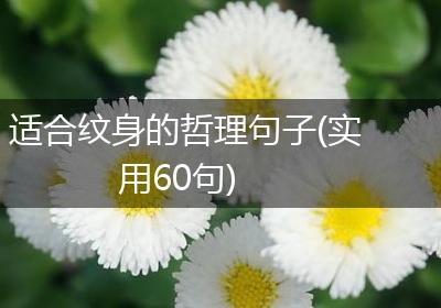 适合纹身的哲理句子(实用60句)
