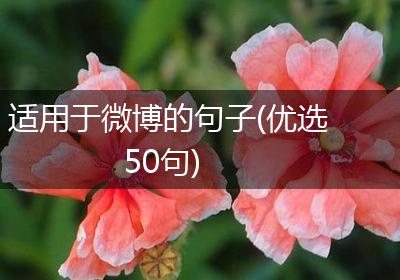 适用于微博的句子(优选50句)