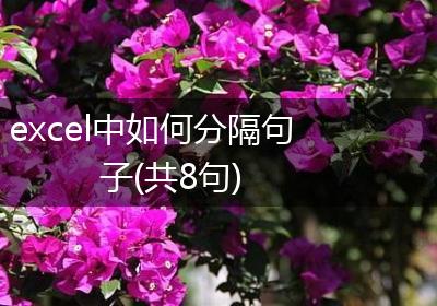excel中如何分隔句子(共8句)