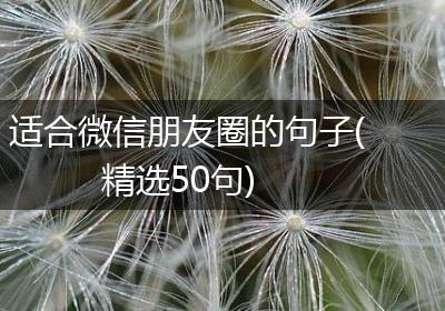 适合微信朋友圈的句子(精选50句)