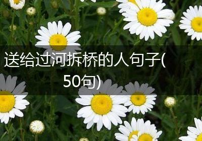 送给过河拆桥的人句子(50句)