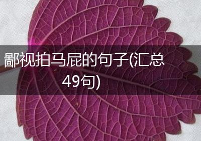鄙视拍马屁的句子(汇总49句)