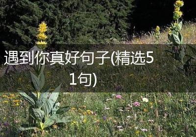 遇到你真好句子(精选51句)